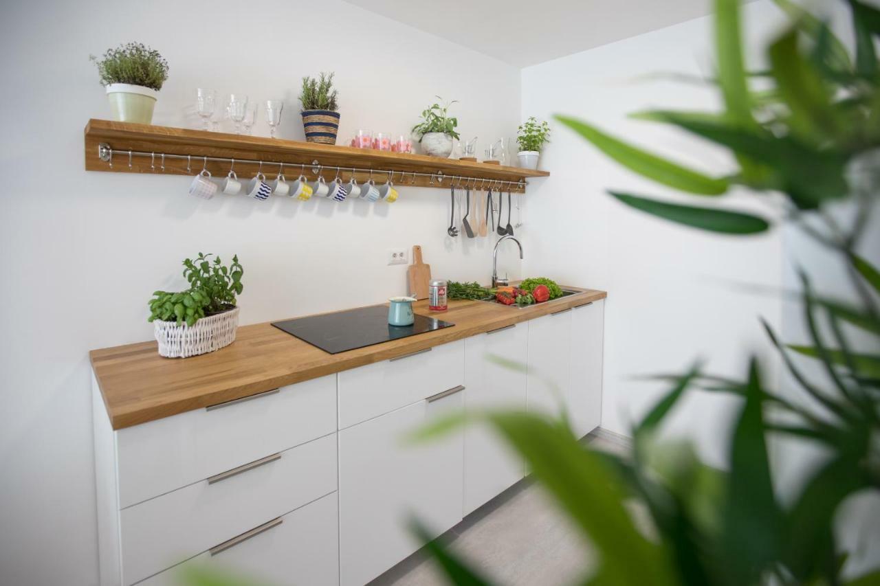 Family Apartment With Garden Ljubljana Luaran gambar