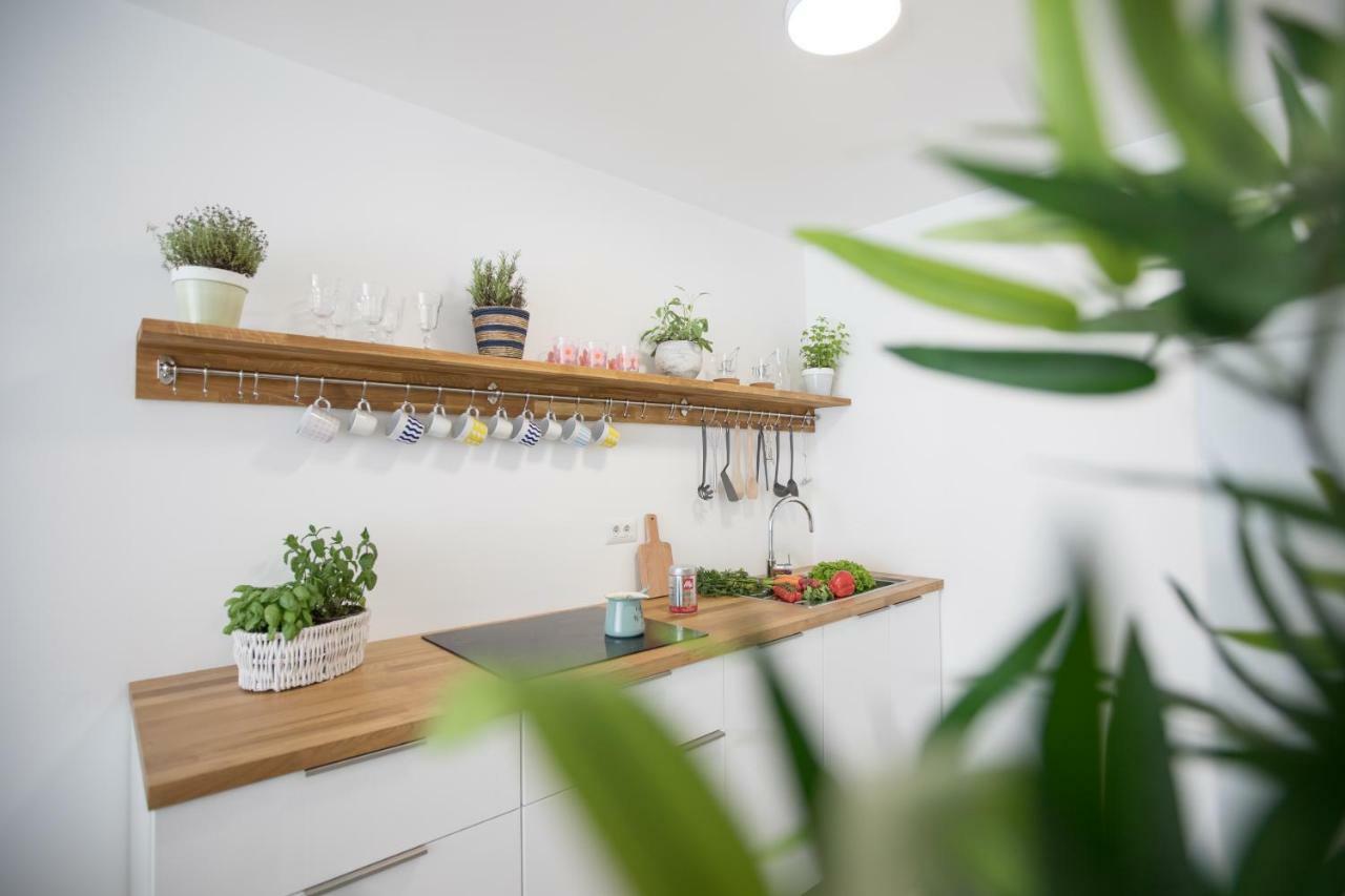 Family Apartment With Garden Ljubljana Luaran gambar